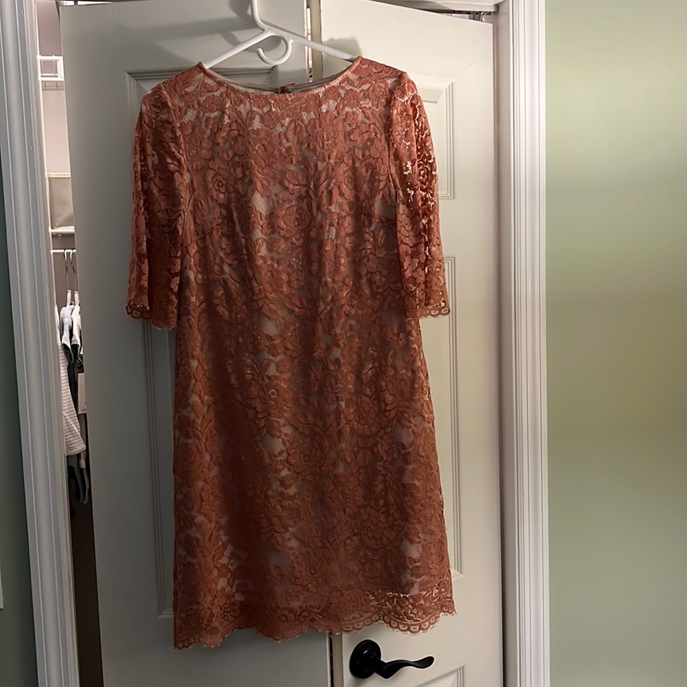 Anthropologie Mauve Lace Dress